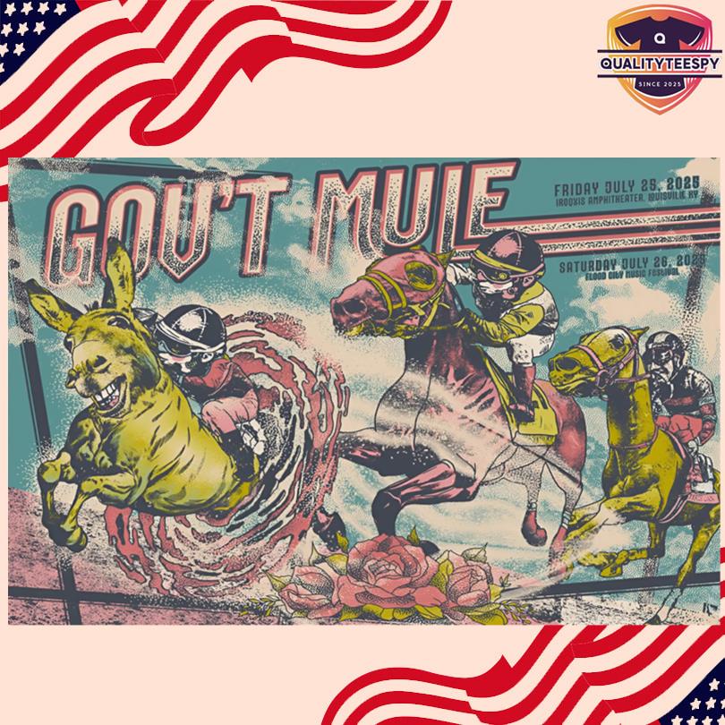 Gov_t Mule Jul 26 2025 Flood City Music Festival Johnstown PA New Poster