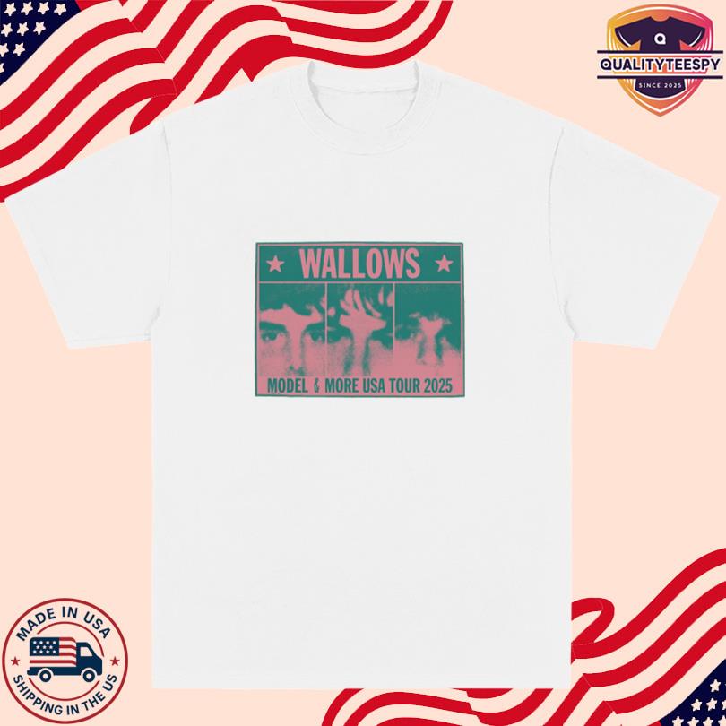 Wallows Band Merch